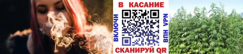 Купить наркотики цена Приозерск АМФЕТАМИН  Cocaine  A PVP  Меф  Гашиш  блэк спрут tor  МАРИХУАНА 