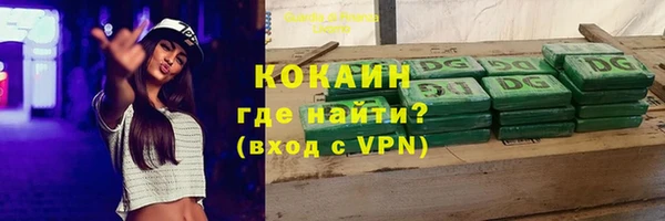 jwh Гвардейск