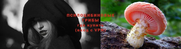 сатива Сатка